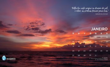 Calendário 01-19